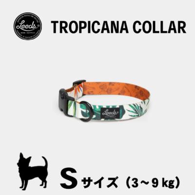 リーズドッグサプライ LEEDS DOG SUPPLY TOROPICANA ドッグ カラー ペット用品 犬 首輪 Sサイズ