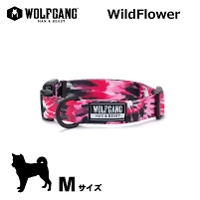 ウルフギャング マンアンドビースト WOLFGANGS MAN&BEAST WildFlower Collar  M サイズ　( ドッグ 胴輪 ハーネス ペット用品 犬 リーシュ リード)
