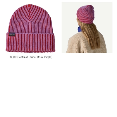 p^SjA PATAGONIA  jbgX 29105Fisherman's Rolled Beanie tBbV[}YE[hEr[j[2025FW 񂹕i